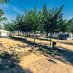 Ecologic Vinyols Camp Vinyols i Els Arcs