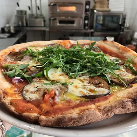 Ecològic Vinyols Camp 2* Vinyols i Els Arcs