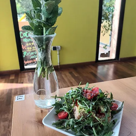 Ecològic Vinyols Camp Parque de Campismo