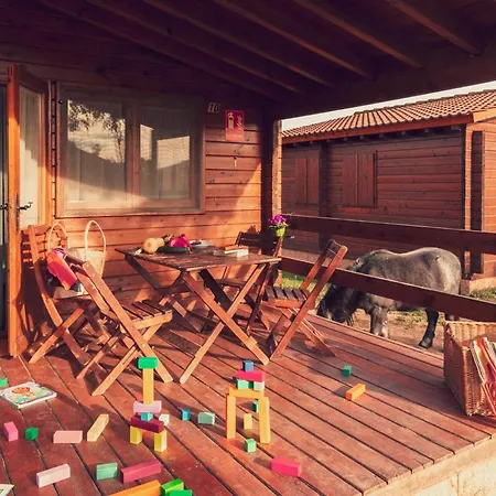Ecologic Vinyols Camp Vinyols i Els Arcs