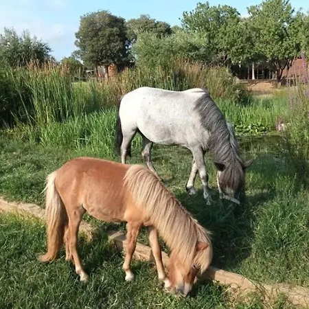 Ecològic Vinyols Camp Vinyols i Els Arcs