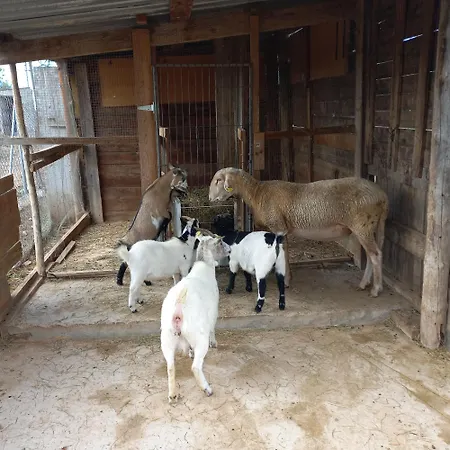 Parque de Campismo Ecològic Vinyols Camp Vinyols i Els Arcs