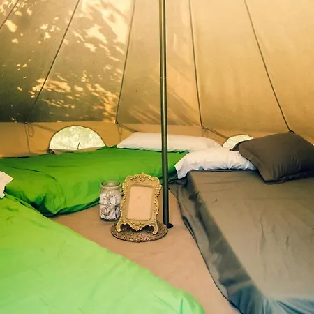 Ecologic Vinyols Camp 2* Vinyols i Els Arcs
