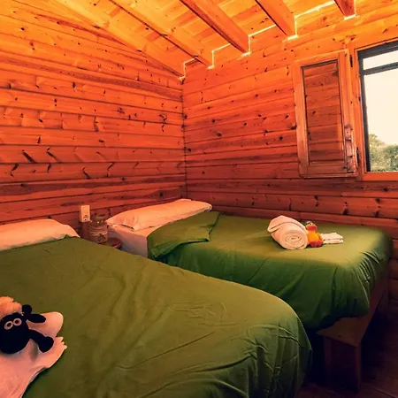 Ecologic Vinyols Camp 2* Vinyols i Els Arcs