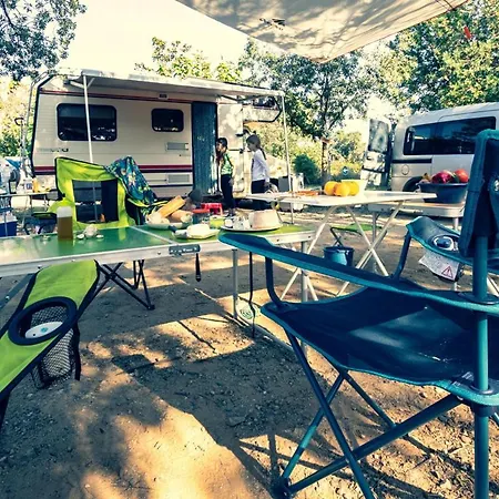 Ecologic Vinyols Camp 2*