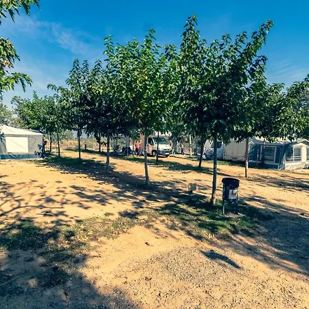 Ecologic Vinyols Camp Vinyols i Els Arcs