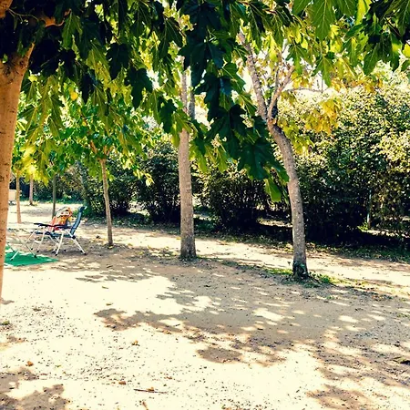 Ecologic Vinyols Camp