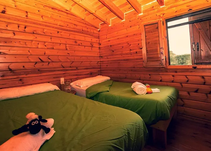 Ecologic Vinyols Camp 2* Vinyols i Els Arcs