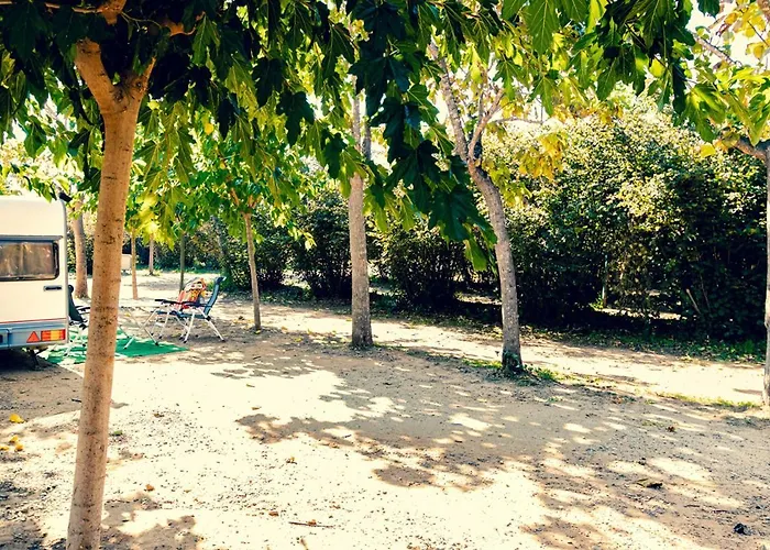 Ecologic Vinyols Camp