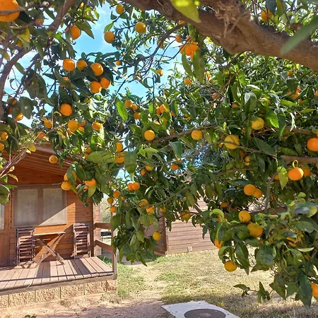 Kamp alanı Ecologic Vinyols Camp