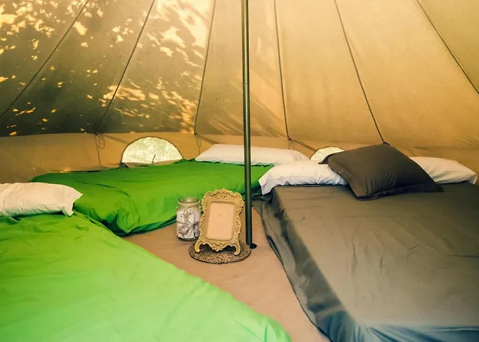 Ecologic Vinyols Camp 2* Vinyols i Els Arcs